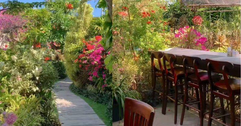 TikTok.com/afnipurnamaa